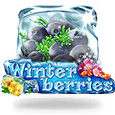 winterberries